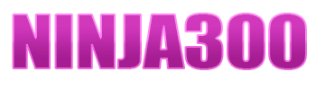 NINJA300